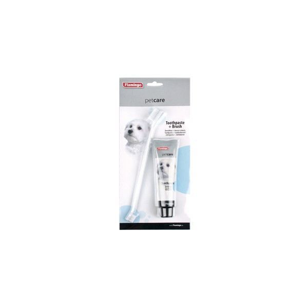 Dentifrice + Brosse à dents PETCARE
