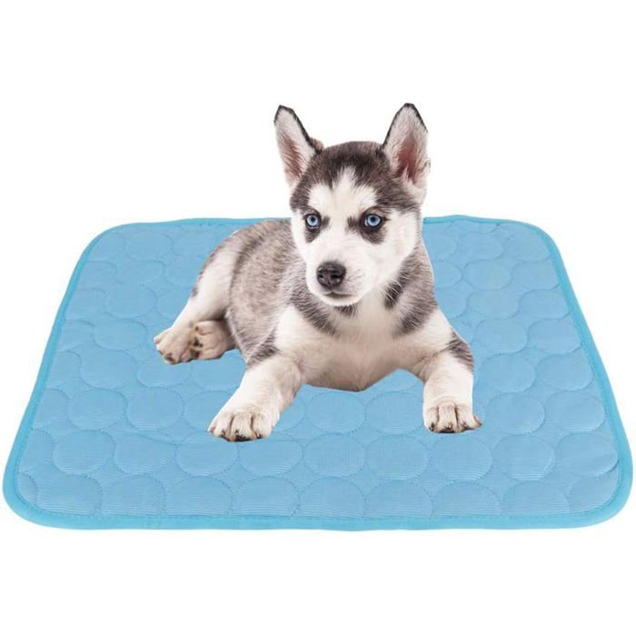 Matelas rafraîchissant dété pour animaux de compagnie (XL)