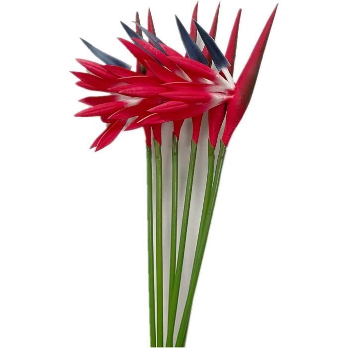Lot de 6 fleurs artificielles - Oiseau du paradis - 58,4 cm - Fleurs  permanentes - - Fleurs tropicales artificielles pour bur[O117] - Cdiscount  Maison