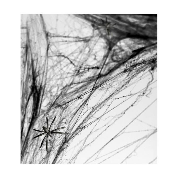 Toile D Araignee Noire Avec Araignees Halloween 100 G Horreur Cdiscount Maison