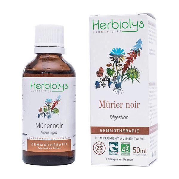 COMPLEMENT TONUS COMPLEMENT VITALITE Macérat de bourgeon de Mûrier noir Bio HERBIOLYS 50 ml COMPLEMENT TONUS COMPLEMENT VITALITE Macérat de bourgeon de Mûrier noir Bio HERBIOLYS 50 ml