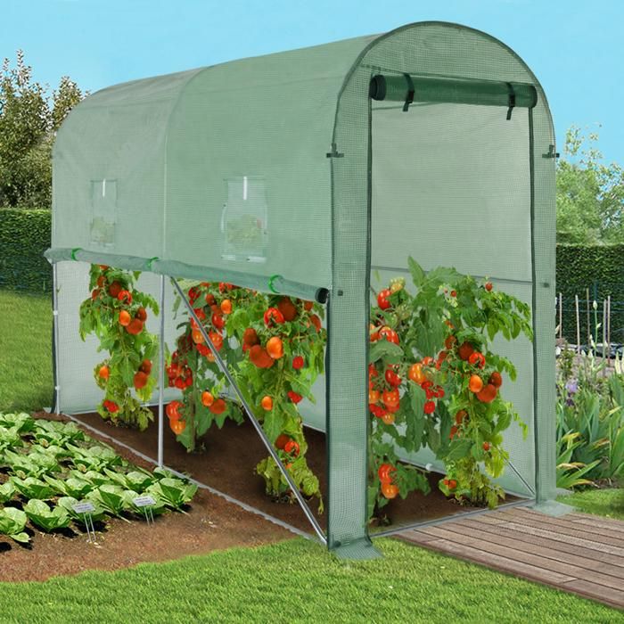 MARKET Serre à tomates - vue 2