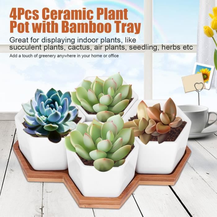 Porte-bague Cactus Céramique - Plateau à Bijoux Déco Succulente - Cadeau Femme