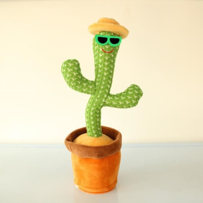 Cactus Qui Danse - Esprit Décoration
