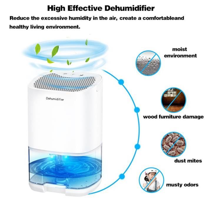Déshumidificateur et purificateur d'air Portable Premium 2 en 1, pour la  maison, la chambre à coucher, la cuisine - Déshumidificateur - Achat & prix