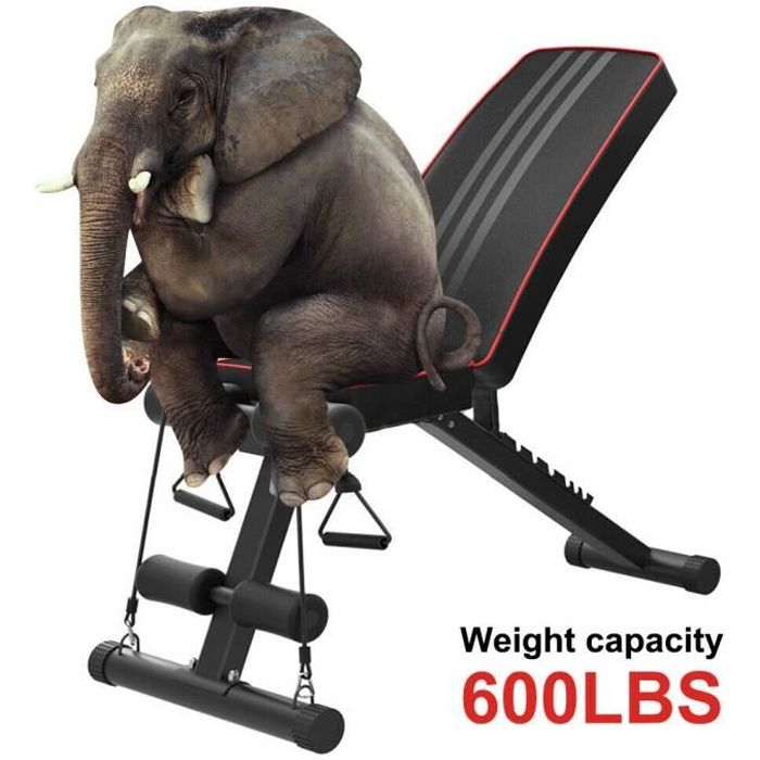 Banc de Musculation Pliable Banc de Poids Gymnastique à Domicile & AB Abdominaux Banc incliné Plat Banc d'exercice de Déclin