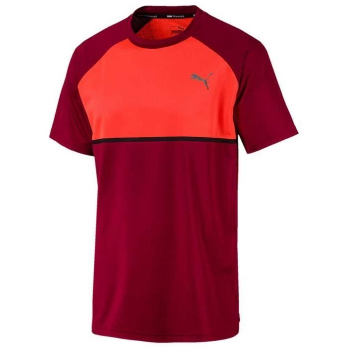 Vêtements Homme T-Shirts Puma Power Bnd