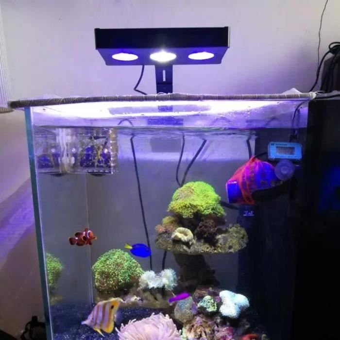 Lumière d'aquarium 30W LED Éclairage d'aquarium avec le contrôle de contact pour le réservoir de poissons de récif de corail