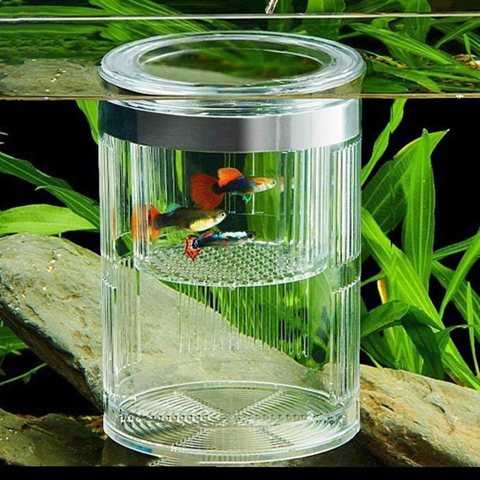 Comparer les prix de Boîte délevage cylindrique pour aquarium double paroi transparente avec ventouses