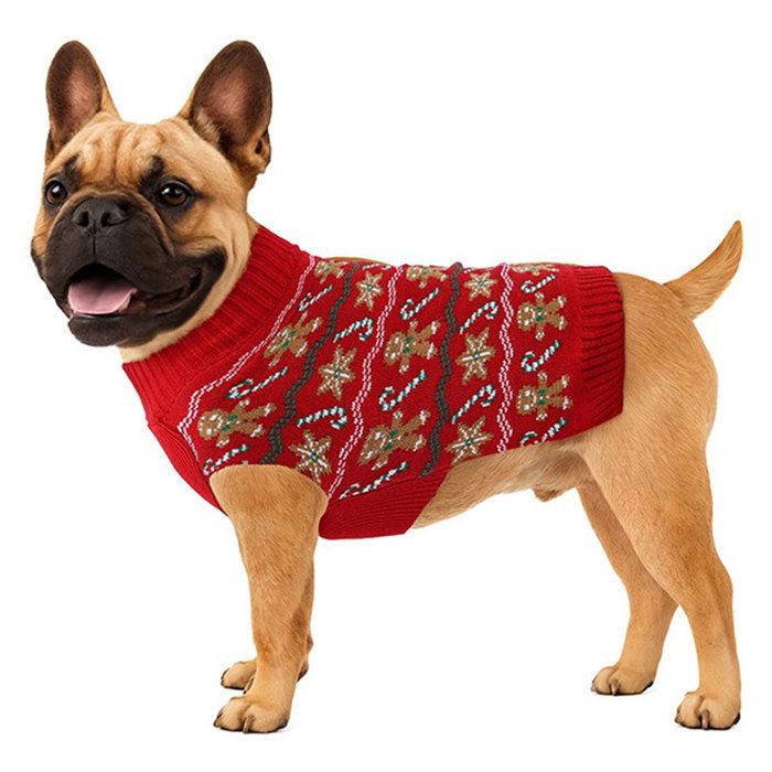 Pull de Noël en pain dépice pour chiens