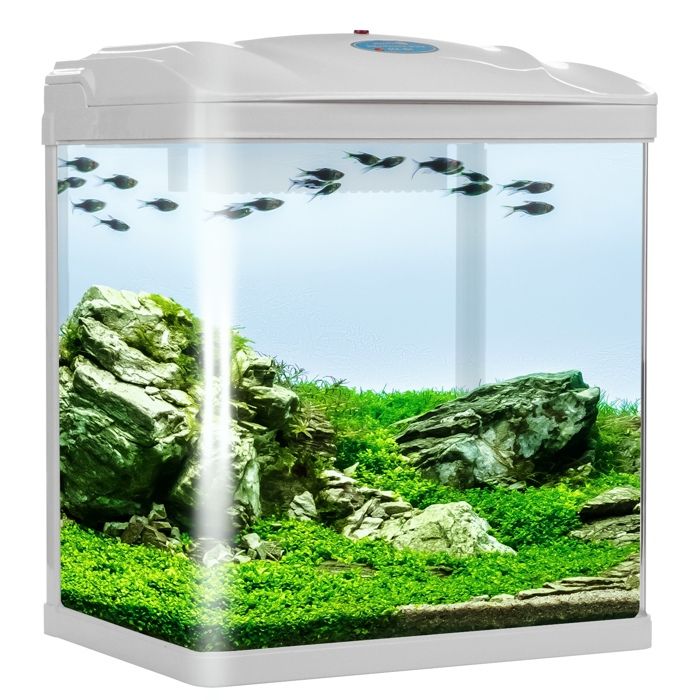 Ensemble aquarium 19L avec couvercle de filtre LED blanc pour poissons crevettes et enfants