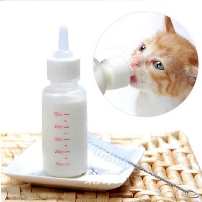Bouteille Pour Animaux Bouteille De Chat Chien Lait Chiot Kit De Allaitement Au Biberon Pour Bebe Chien Chat Lapin Tetine Cdiscount