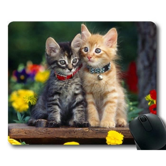 Tapis De Souris Tapis De Souris Mignon Fleur Animal Chat Gris Chaton Tapis De Souris Pour Ordinateur Cat128 Cdiscount Informatique Tapis De Souris Tapis De Souris Mignon Fleur Animal Chat Gris Chaton Tapis De Souris Pour Ordinateur Cat128 Cdiscount Informatique