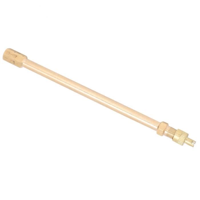 Dymoece Seringue Mastic Pneu Vélo Sans Chambre - Outil Valve Presta/Schrader