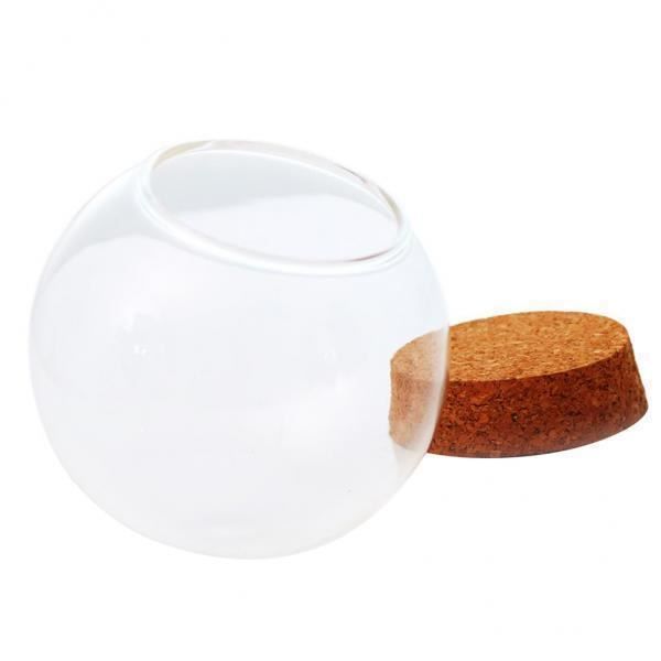 Cloche En Verre Avec Socle En Bois - 9 Cm De Diamètre, 20 Cm De Haut | Présentoir Pour Plantes, Figurines, Décoration