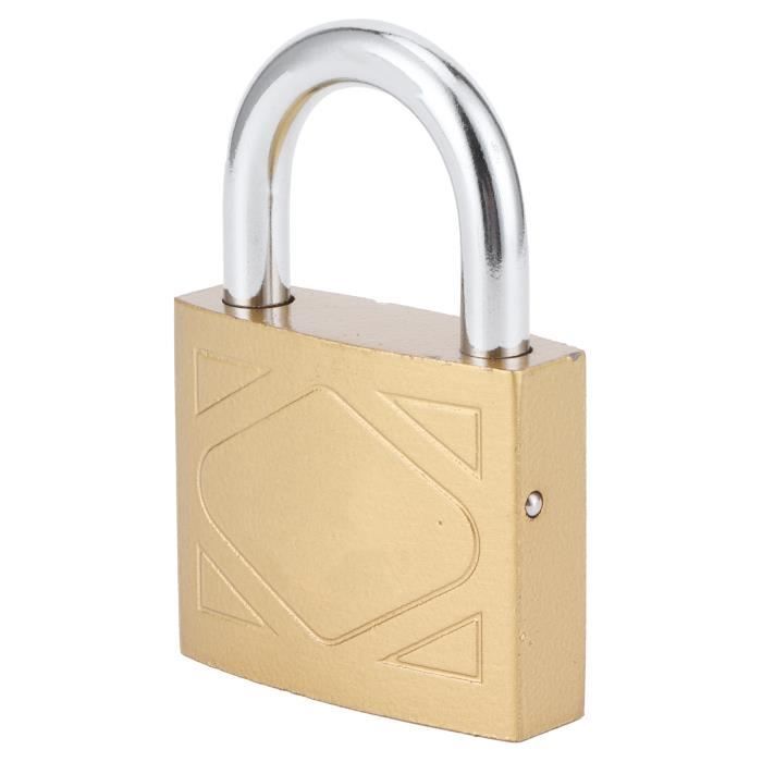 Britanium® SFL60 Cadenas Container Antivol avec 5 Clés - Anse 12 mm en Alliage de Bore, Corps en Acier Chrome Satiné | Serrure de Sécurité pour Portail, Garage, Remorque Attelée