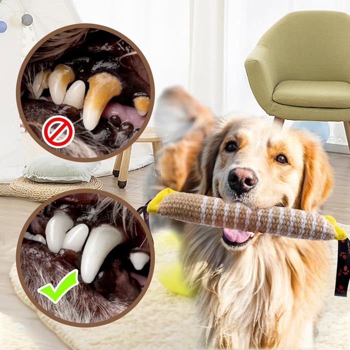 Jouet Pour Chien Balle Couineuse En Latex - Interactive Et Résistante - Pour Jeu Intérieur Et Extérieur - 4