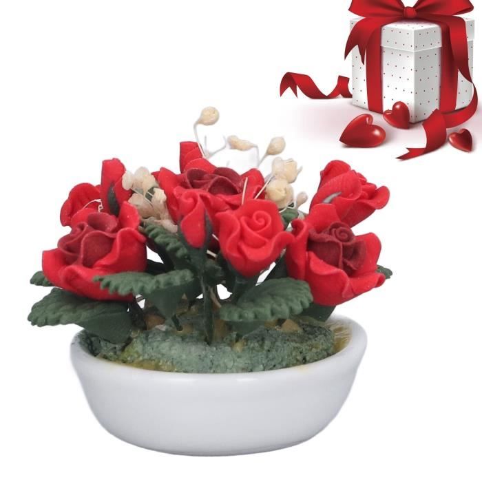 SALUTUYA Pot de fleurs en pot miniature pour maison de poupée Plante en Pot  Miniature de Maison de Poupée Échelle jeux d'activite