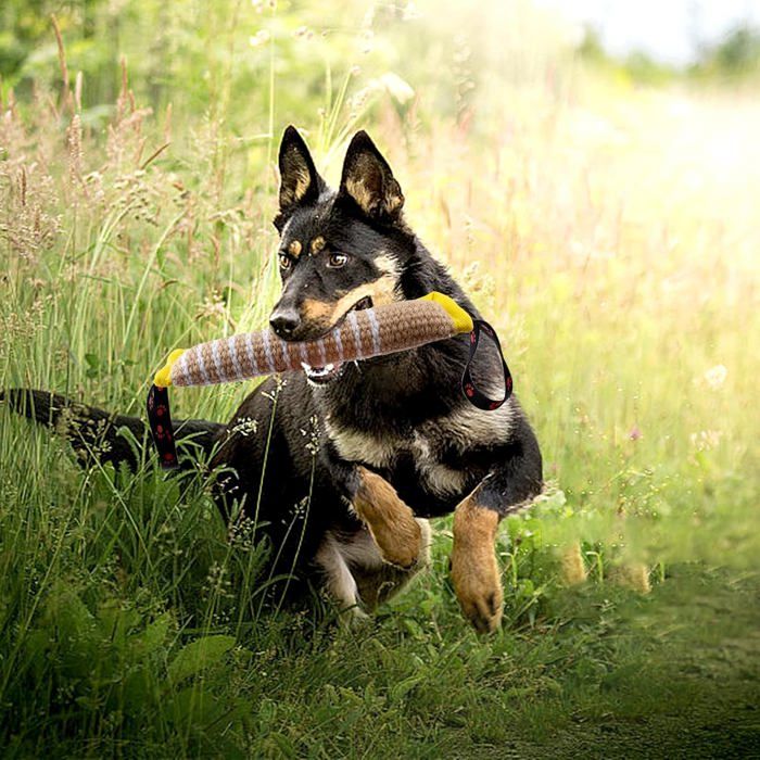 Jouet Pour Chien Balle Couineuse En Latex - Interactive Et Résistante - Pour Jeu Intérieur Et Extérieur - 8