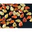 Perles toupies en verre 6mm caramel 1 chapelet de 55 perles Perles toupies en verre 6mm caramel 1 chapelet de 55 perles