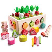 Jouet Montessori Enfant, Jeu de Pêche Magnétique, Jouet en Bois pour Récolte de Carottes, Reconnaissance de Forme de Fruit