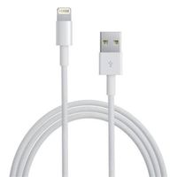 Chargeur pour iPhone SE / iPhone SE (2020) / iPhone SE (2022) Cable USB Data Synchro Blanc 2m