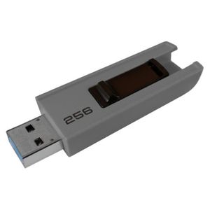 CLÉ USB Clé USB 3.0 256 Go EMTEC Diaporama gris Blister