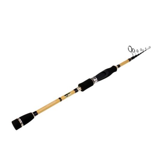 Canne à Pêche Carbone Télescopique - 2.1m à 3.6m - Anneaux Inox - Portable