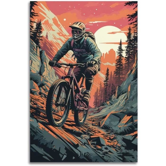 Poster Vintage Sports Extremes Vtt Peinture Decorative Sur Toile Decoration Murale Moderne Pour Chambre A Coucher 40 X u14678 Cdiscount Maison