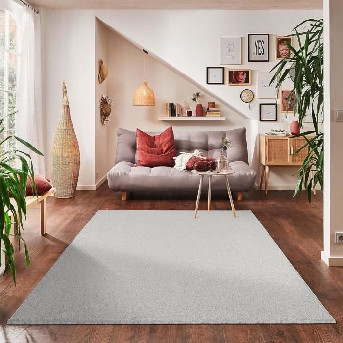 Tapis Salon Chambre 200x290 Cm - Poil Court Boucle Mélangée Crème - Facile D'Entretien