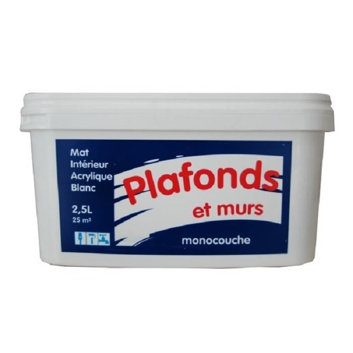 Peinture Plafond Acrylique Monocouche Mat 6l Blanc Achat Vente Peinture Vernis Peinture Plafond Acrylique Cdiscount