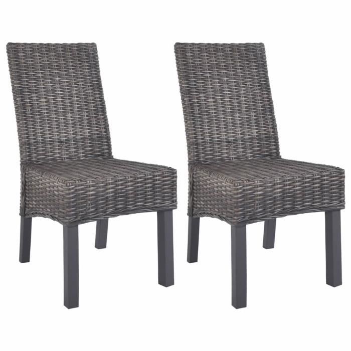Lot de 2 Chaises de salle à manger Chaises de cuisine Chaises à dîner