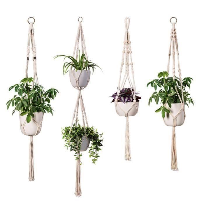 LES PLANTES DANS VOTRE DCOR