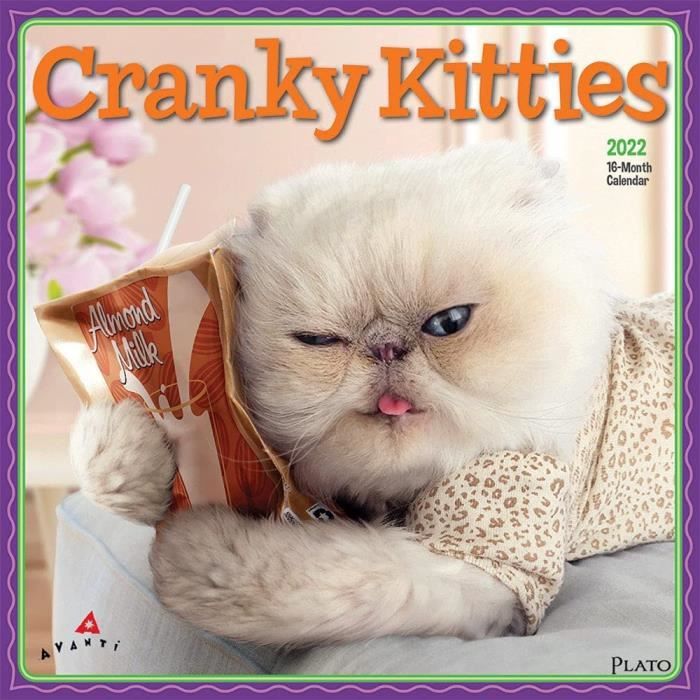 Calendrier Mural Carre Avanti Cranky Kitties 22 30 5 X 30 5 Cm Par Humour Chat En Colere 4 Cdiscount Beaux Arts Et Loisirs Creatifs