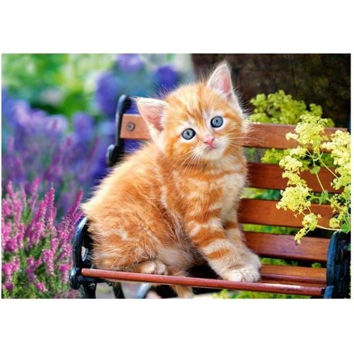 puzzle petit chat roux assis sur un banc 500 pieces - puzzle collection animaux