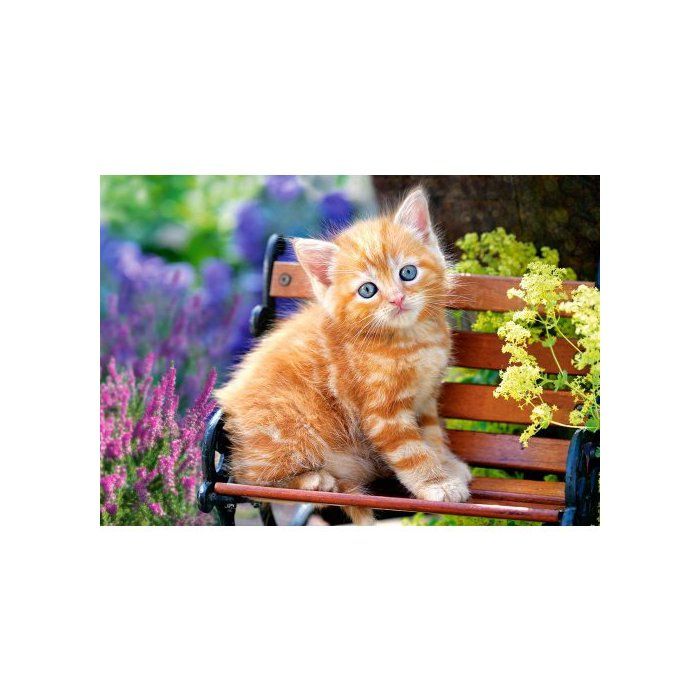 Puzzle Petit Chat Roux Assis Sur Un Banc 500 Pieces Puzzle Collection Animaux Cdiscount Jeux Jouets