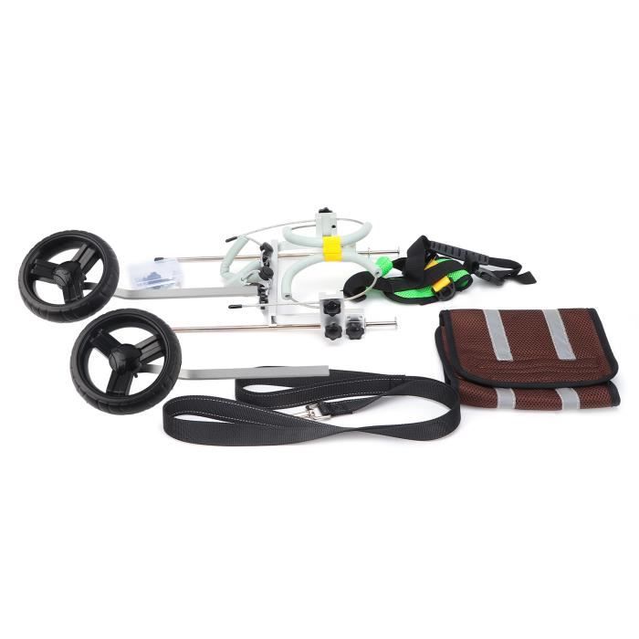 Fauteuil Roulant Réglable Pour Petit Chien/chat - Support Arrière Avec Roues, Taille M - Aide à La Mobilité Pour Animaux à Pattes Arrières Paralysées