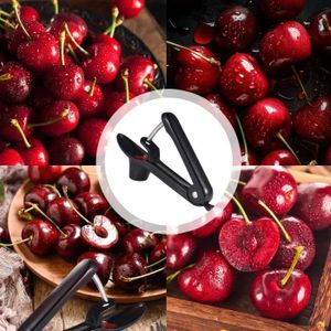 Dénoyauteur De Cerises En Acier Inoxydable - Extracteur Noyaux Cerises, Olives, Dattes - Lavable Au Lave-vaisselle Denoyauteur Cerise Soldes