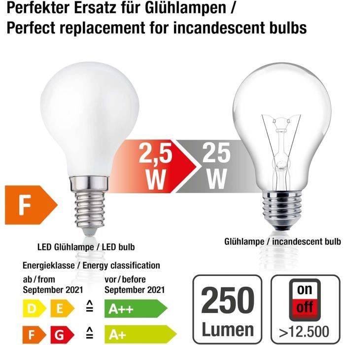 AMPOULES LED BLANC CHAUD POUR GUIRLANDE GUINGUETTE