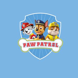 Lot De 16 Cartes D'invitation Paw Patrol - Thème Anniversaire Garçon