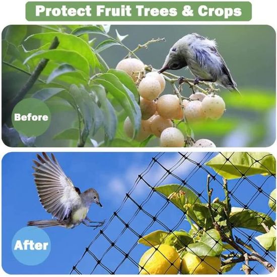 Filet Protection Oiseaux pour Arbre Fruitier Filets pour Jardin Potager  Filet de Couverture de Bassin,3x10m[622] - Cdiscount Jardin