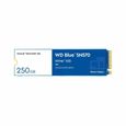 Disque dur Western Digital WD Blue SN570 Interne SSD 250 GB SSD-0