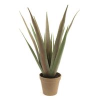 Plante artificielle, Aloe vera en cache-pot, 18 feuilles, 55 cm - plante verte en pot - cactee artificielle - artplants