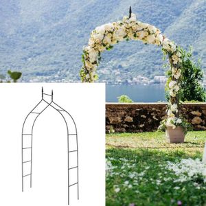 4 arches de jardin métallique pour plantes grimpantes à prix mini - Novoo®