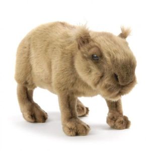 capybara peluche