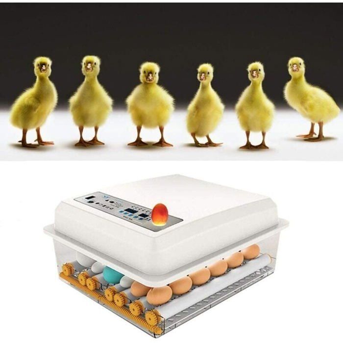 Incubateur Oeufs Couveuse A Oeuf Automatique Pour Volaille Caille Oie Canard Pigeon Reptile - 16 Oeufs