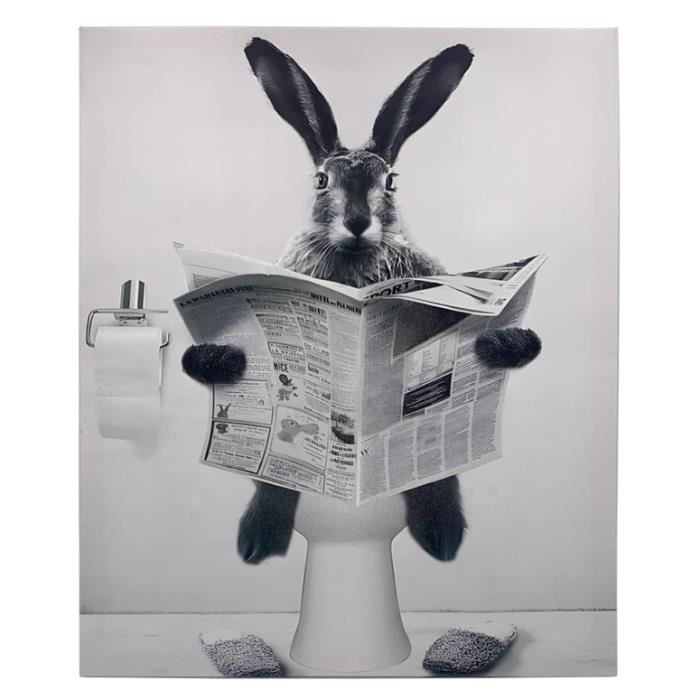 Lapin Poster Humoristique Pour WC,Toile Noir et Blanc Art Mural,Bunny  Toilette Affiche Drôle,Rabbit Toile Murale (40x50 cm) - Cdiscount Maison