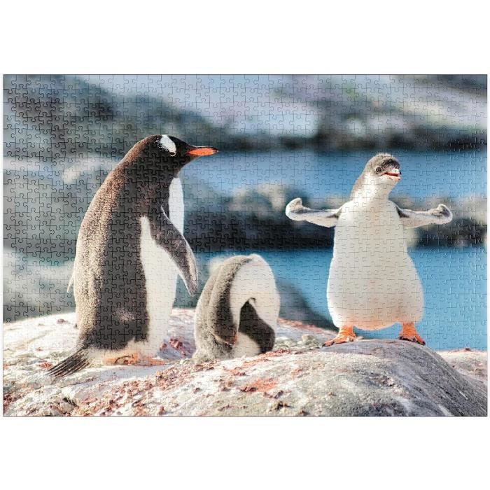 MyPuzzle Premium 500 Teile Puzzle – Vögel Mit Tropischen Blättern & Blumen, Farbintensiv & Klimakompensiert