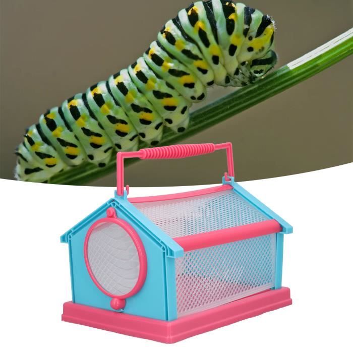 Attrape-Insectes Vivants - Lot De 2 Boîtes D'Observation - Pour Enfants - Capture Araignées, Coléoptères Sans Les Blesser - Pour Maison Et Jardin