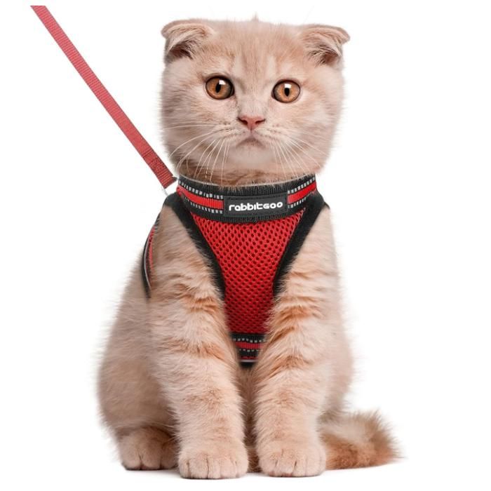 Meilleurs prix pour Rabbitgoo Harnais Chat Harnais pour chaton/petit chien Harnais Respirant et Bande Réfléchissante réglables -Taille M -Rouge